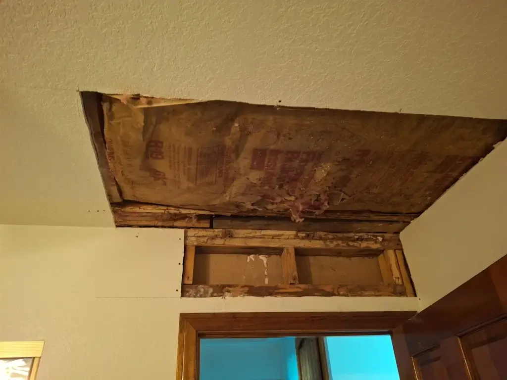 Opened ceiling exposing insulation