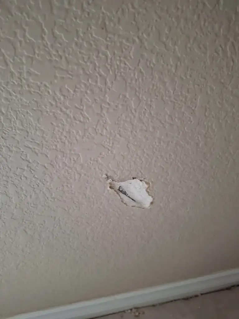 Wall hole with hanging flap